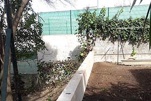 Création d'un Muret et Terrassement fondation